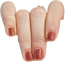 https://polanddailygroup.space/wp-content/uploads/2025/08/about-me-hand-left.png